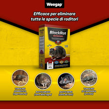 Carica l&#39;immagine nel visualizzatore di Gallery, Veleno per Topi e Ratti, Esca Topicida Ratticida Professionale Potente, Novità Aroma all&#39;Anice, Uso Esterno Interno Casa, Disinfestazione Rimedi Eliminare Roditori Azione Forte BlockRat - 300 g