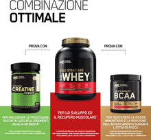 Carica l'immagine nel visualizzatore di Gallery, Optimum Nutrition Gold Standard 100% Whey Proteine in Polvere con Proteine Isolate ed Aminoacidi per la Massa Muscolare, Cioccolato al Latte, 28 Porzioni, 0.9 kg, il Packaging Potrebbe Variare