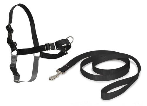 PetSafe Croci C5066239 Pettorina x-large, Black - Ilgrandebazar