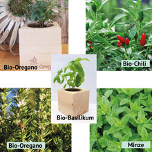Carica l&#39;immagine nel visualizzatore di Gallery, Feel Green Ecocube Set di Erbe con 5 varietà - 25% Risparmio nel Pacchetto,... - Ilgrandebazar
