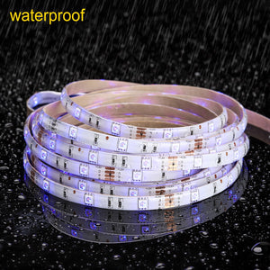 Striscia LED RGB 5M, Minger Impermeabile Rgb 5m