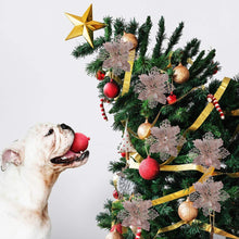 Carica l'immagine nel visualizzatore di Gallery, TOYANDONA 12pcs Glitter Stella di Natale Fiori Artificiali Albero di Natale Ornamenti Floreali Decorazioni Ciondolo Albero di Natale Corona di Natale riempimento (Champagne)