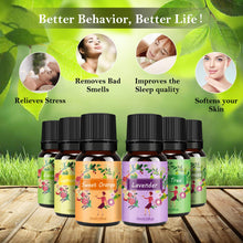 Carica l&#39;immagine nel visualizzatore di Gallery, Oli Essenziali per Diffusori Top 6 Set - Aromaterapia Olio Essenziale Clear - Ilgrandebazar