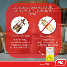 Carica l&#39;immagine nel visualizzatore di Gallery, 2
