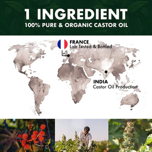 BIONOBLE OLIO DI RICINO PURO 100% Biologico e Pressato a Freddo | Kit Mascara, Pompa e Pipetta in Vetro | Capelli, Ciglia, Sopracciglia, Corpo, Viso e Barba | Bottiglia di Vetro | Castor Oil (50ml)