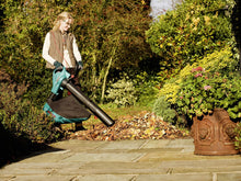 Carica l&#39;immagine nel visualizzatore di Gallery, Bosch Home and Garden 06008A1000 Aspiratore Soffiatore, 300km/h, 800 m3/h,... - Ilgrandebazar