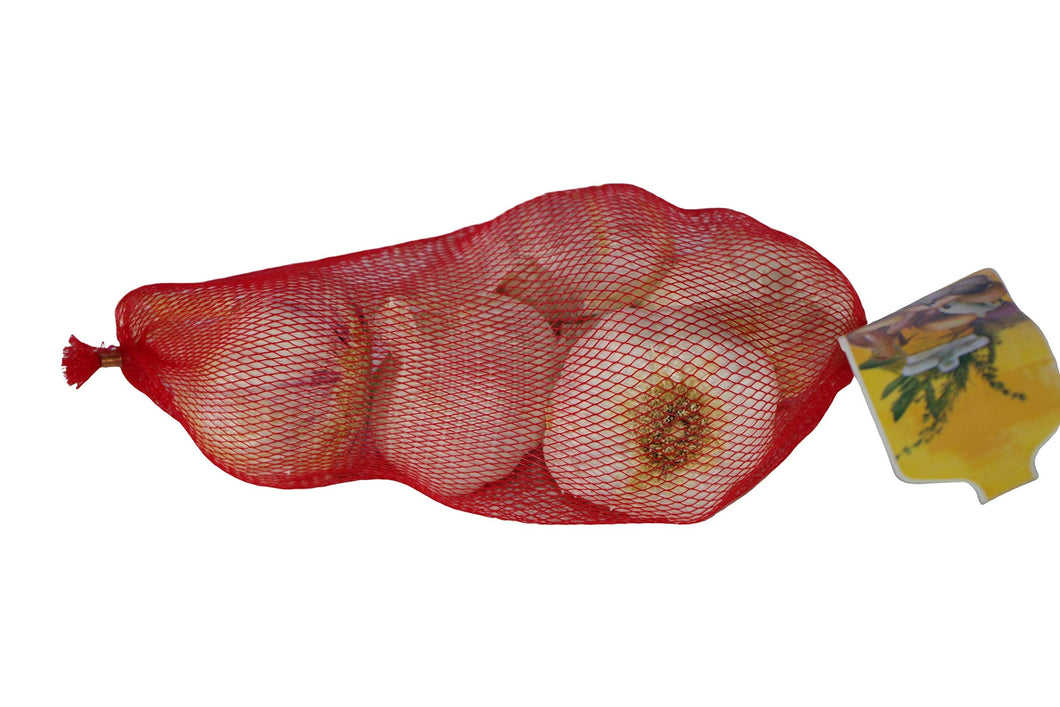 L'ortolano BA00065 bulbi di aglio rosso da semina varietà Gardos in... - Ilgrandebazar