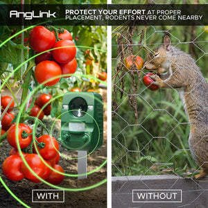 AngLink 2 x Repellente per Gatti ad Ultrasuoni dissuasore a due - Ilgrandebazar