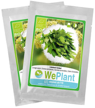 Carica l&#39;immagine nel visualizzatore di Gallery, BIO Levistico - Set di semi piante erbe - interno/esterno - Ilgrandebazar