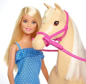 Barbie Bambola con Cavallo e Accessori, Multicolore, 3+ Anni, FXH13