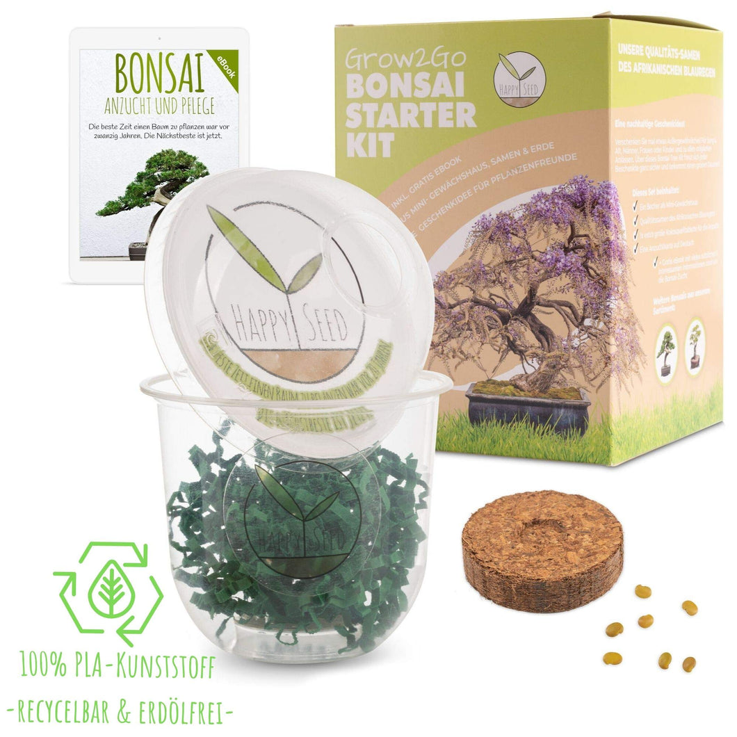 GROW2GO Bonsai Kit incl. eBook GRATUITO - Starter Set con mini Wisteria - Ilgrandebazar