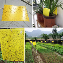 Carica l&#39;immagine nel visualizzatore di Gallery, Ecwin 20 Pezzi Trappola per Mosche Trappole Appiccicose Gialle Plant 20 - Ilgrandebazar