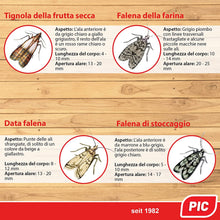 Carica l'immagine nel visualizzatore di Gallery, 3