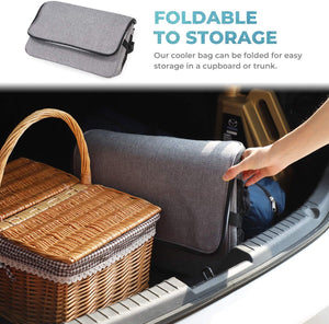 Lifewit 30 Litri Borsa Termica Porta Pranzo Borsa Frigo Isoterma per Alimenti Mantenere Caldo o Freddo per PIC-nic/All'aperto/Barbecue/Campeggio/Eventi Sportivi 30L