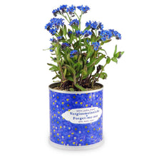 Carica l&#39;immagine nel visualizzatore di Gallery, Extragifts Fiori in lattina - Non ti scordar di me blu - Ilgrandebazar