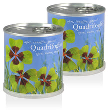 Carica l&#39;immagine nel visualizzatore di Gallery, Extragifts Fiori in lattina Set regalo - 2 x Quadrifoglio verde - Ilgrandebazar
