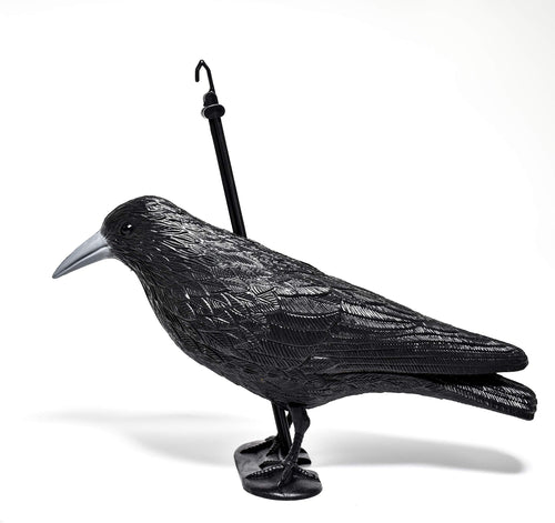 Blossom Design Corvo Scacciapiccioni 2a Generazione Spaventapasseri Big, nero - Ilgrandebazar