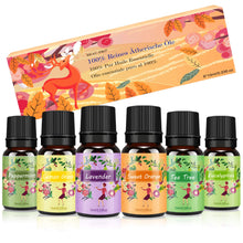 Carica l&#39;immagine nel visualizzatore di Gallery, Oli Essenziali per Diffusori Top 6 Set - Aromaterapia Olio Essenziale Clear - Ilgrandebazar