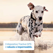 Carica l&#39;immagine nel visualizzatore di Gallery, Tractive Localizzatore GPS per animali domestici, Bianco