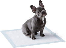 Carica l'immagine nel visualizzatore di Gallery, Amazon Basics - Tappetini igienici assorbenti per animali domestici, misura standard, 100 pz Pacco da 100 Regular Single