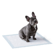Carica l'immagine nel visualizzatore di Gallery, Amazon Basics - Tappetini igienici assorbenti per animali domestici, misura standard, 100 pz Pacco da 100 Regular Single