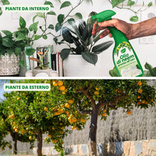 Carica l&#39;immagine nel visualizzatore di Gallery, 4