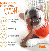 Carica l'immagine nel visualizzatore di Gallery, Nylabone Osso masticabile Extreme Chew Bone | Giocattolo masticabile per l'igiene Dentale dei Cani | Gusto Pollo | Large | per Cani Fino a 23 kg