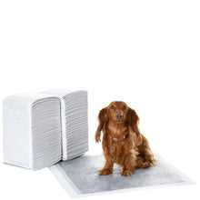 Carica l'immagine nel visualizzatore di Gallery, Amazon Basics, Tappetini al carbone con controllo degli odori per l'addestramento di cani e cuccioli, a prova di perdite con superficie ad asciugatura rapida, dimensione standard, confezione da 120