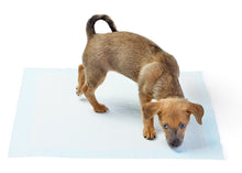 Carica l&#39;immagine nel visualizzatore di Gallery, AmazonBasics - Tappetini igienici assorbenti per animali Pacco da 100, Blu - Ilgrandebazar