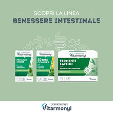 Carica l&#39;immagine nel visualizzatore di Gallery, VITARMONYL - FERMENTI LATTICI - Integratori per l’equilibrio della flora intestinale - in capsule per la flora batterica - Per il benessere dell’intestino - Confezione da 30 capsule
