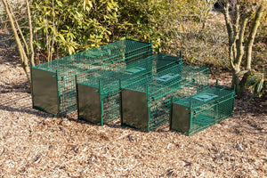 Maxx Trappola di Cattura infallibile - Pieghevole - Gabbia - per Piccoli M - Ilgrandebazar