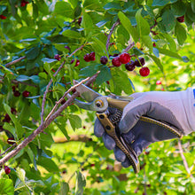 Carica l&#39;immagine nel visualizzatore di Gallery, Kjenius Forbice Giardinaggio Professionali Cesoie Potatura UNIVERSALE, ORO - Ilgrandebazar