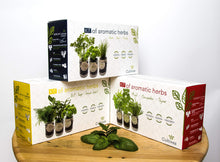 Carica l&#39;immagine nel visualizzatore di Gallery, Cultivea Set completo - Fai crescere le tue di erbe aromatiche - 100% semi... - Ilgrandebazar