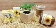 Carica l&#39;immagine nel visualizzatore di Gallery, Feel Green Ecocube Girasole, Certificato Biologico, Idea Regalo sostenibile... - Ilgrandebazar