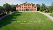 Carica l&#39;immagine nel visualizzatore di Gallery, L&#39;Angelica Misto Tisane 4 Gusti - 20 filtri