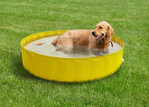 New Plast My Dog Pool Ø 140 cm Piscina per Cani, Ø 140 h 30cm, Arancione