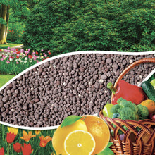 Carica l&#39;immagine nel visualizzatore di Gallery, VIGORFER AGRUMI, concime granulare per agrumi con guano, kg 5, Vitaverde - Ilgrandebazar