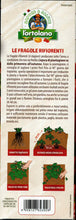 Carica l&#39;immagine nel visualizzatore di Gallery, PIANTINE DI FRAGOLA RIFIORENTE 4 STAGIONI CONFEZIONE DA 12 PIANTE - Ilgrandebazar