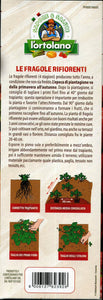 PIANTINE DI FRAGOLA RIFIORENTE 4 STAGIONI CONFEZIONE DA 12 PIANTE - Ilgrandebazar