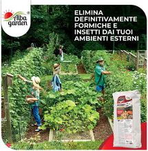Carica l&#39;immagine nel visualizzatore di Gallery, 1