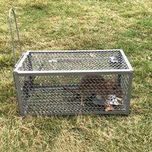 Carica l&#39;immagine nel visualizzatore di Gallery, Kimimara Umano Trappola per Topi, in Metallo, Ferro Gabbia Trappola... - Ilgrandebazar