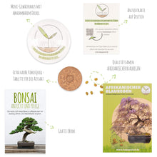 Carica l&#39;immagine nel visualizzatore di Gallery, GROW2GO Bonsai Kit incl. eBook GRATUITO - Starter Set con mini Wisteria - Ilgrandebazar