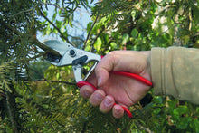 Carica l&#39;immagine nel visualizzatore di Gallery, FELCO 6996010 Forbici per Potatura - Ilgrandebazar