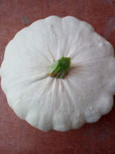 Carica l&#39;immagine nel visualizzatore di Gallery, SEMI ZUCCA PATTY PAN (PATISSON) - Ilgrandebazar