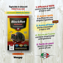 Carica l&#39;immagine nel visualizzatore di Gallery, Veleno per Topi e Ratti, Esca Topicida Ratticida Professionale Potente, Novità Aroma all&#39;Anice, Uso Esterno Interno Casa, Disinfestazione Rimedi Eliminare Roditori Azione Forte BlockRat - 300 g