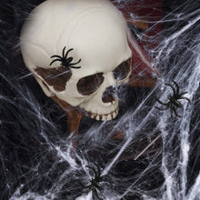 Carica l&#39;immagine nel visualizzatore di Gallery, 6