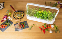 Carica l&#39;immagine nel visualizzatore di Gallery, Substratkapsel Ch.Pepper 3er P Peperoncini rossi - Ilgrandebazar