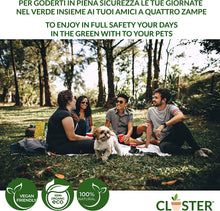Carica l&#39;immagine nel visualizzatore di Gallery, 2