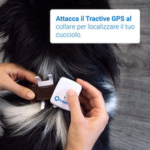 Carica l&#39;immagine nel visualizzatore di Gallery, Tractive Localizzatore GPS per animali domestici, Bianco