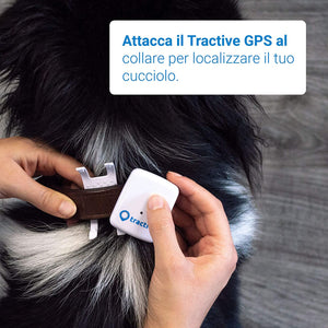 Tractive Localizzatore GPS per animali domestici, Bianco